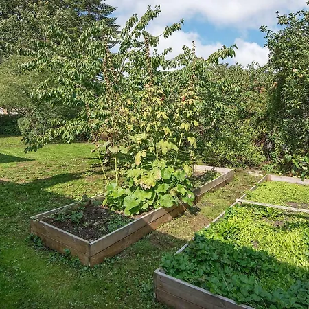 10 Person Holiday In * Kolind